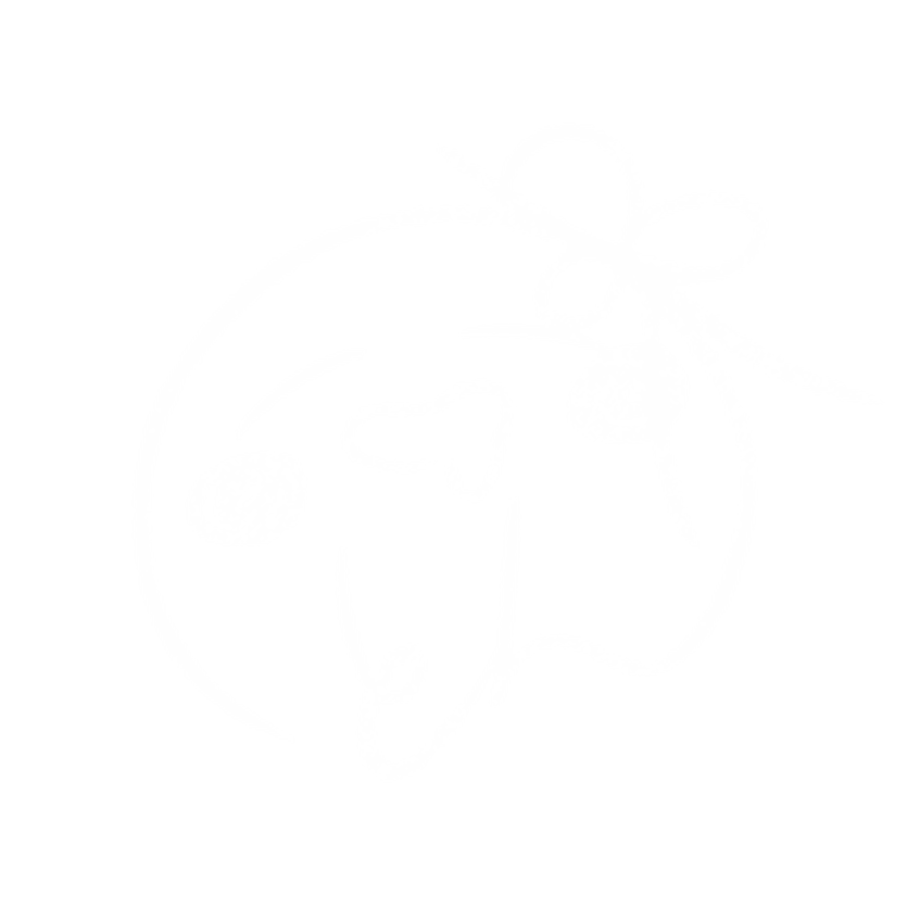 とんのサイン